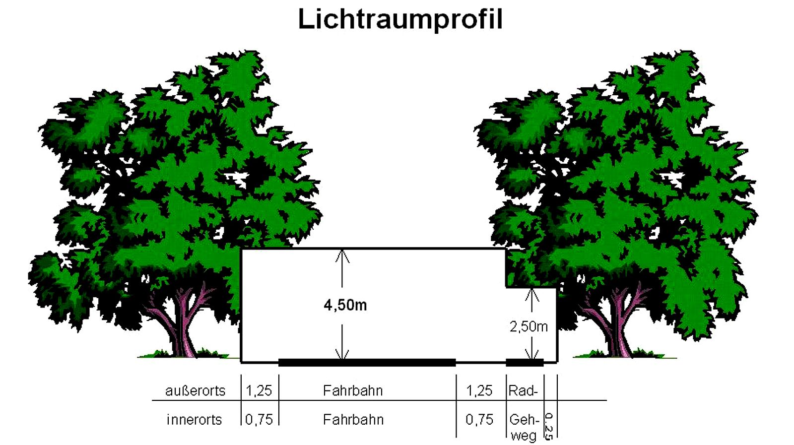 Bäume und Sträucher - Lichtraumprofil